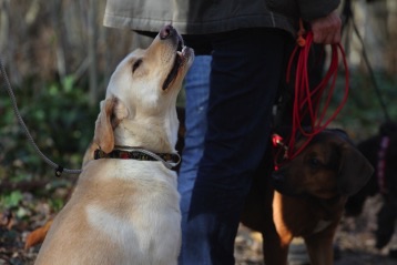 2014-03-20 15.21.12.jpg