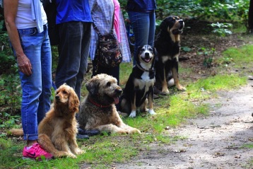 2014-08-14 14.56.30.jpg