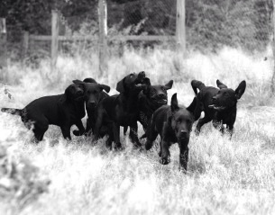 2014-09-14 21.56.14.jpg