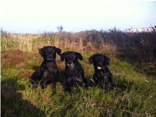 2014-10-06 16.11.58.jpg